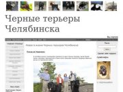 Черный терьер в Челябинске - Новое в жизни Черных терьеров Челябинска