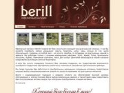 "berill" - ювелирный магазин