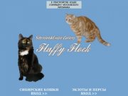 Питомник сибирских, экзотических, и персидских кошек Fluffy Flock*RU :: Siberian&amp;Exotic Cattery