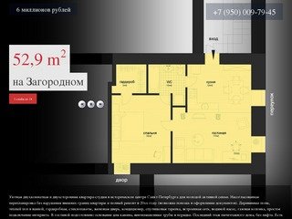 Двухкомнатная квартира на Загородном Проспекте 21 (Санкт-Петербург)