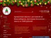 Продажа живых новогодних елок в Новосибирске | "Все елки"