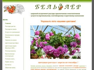 > Рассада цветов, услуги по вертикальному контейнерному и грунтовому озеленению - Бельфлёр Воронеж