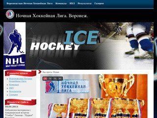 Воронежская Ночная Хоккейная Лига