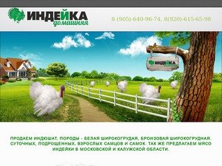 Домашняя индейка | купить домашнюю индейку Московская и Калужская область