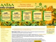 Веб-студия «Алтал» в Омске