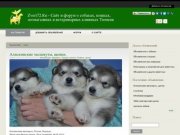 Zveri72.Ru - Сайт и форум о собаках, кошках, зоомагазинах и ветеринарных клиниках Тюмени