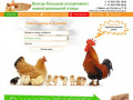 Ферма Алтая - Цыплята, Куры, Утки, Гуси и т.д. от суток до 11 месяцев