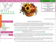 Интернет магазин цветов Mirtus в Херсоне — купить цветы, продажа Миртус