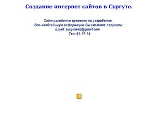 Профессиональное создание интернет сайтов в Сургуте. Заказ сайтов Сургут