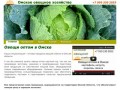 Омское овощное хозяйство - Овощи оптом и в розницу в Омске
