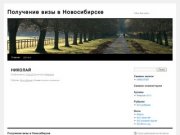 Получение визы в Новосибирске | Other description