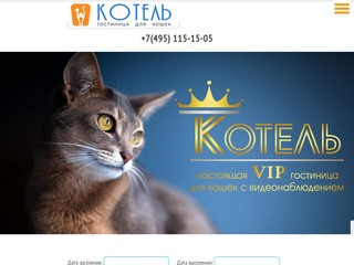Гостиница для кошек в Москве «КОТЕЛЬ» недорого с видеонаблюдением  2018г.