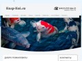 Ферма Карпов Кои - Декоративные Японские Рыбки - Купить карпов кои в Стерлитамаке