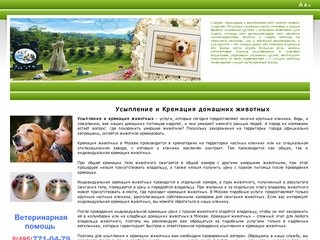 Кремировать животное - кошку - собаку, усыпить, эвтаназия, общая кремация