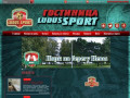Лудус-Спорт - недорогая гостиница для спортсменов в Санкт-Петербурге