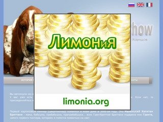 Baltik Show - basset-hound kennel || Балтик Шоу - питомник бассет-хаундов в Санкт-Петербурге