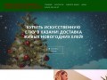 Живые и искусственные, Новогодние елки в Казани