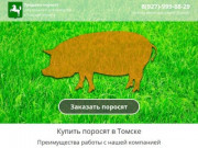 Купить поросят, молочных, маленьких, живых, мясных пород на откорм в Томске и области