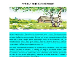 Куриные яйца в Новосибирске, купить куриные яйца в Новосибирске