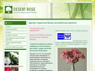 DESERT ROSE
Интернет магазин семена адениума (Россия, Волгоградская область, Волгоградская область)