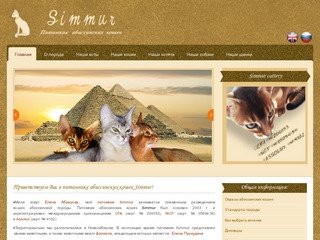 Simmur - Питомник абиссинских кошек Новосибирска