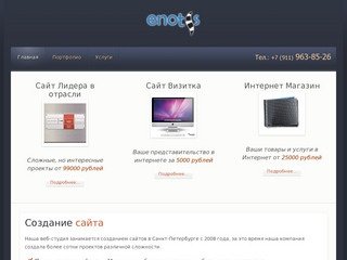 Enotis.ru - создание сайтов в Санкт-Петербурге - Enotis - Разработка сайтов