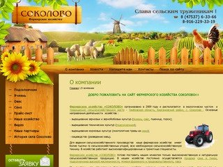 Фермерское хозяйство СОКОЛОВО - выращивание зерновых и зернобобовых культур