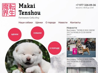 Makai Tenshou - Купить Сиба Ину в питомнике в Москве