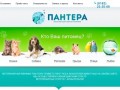 О клинике - Ветеринарная клиника «Пантера» Архангельск