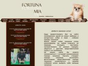 Питомник чихуахуа "Фортуна Миа"- chihuahuas "Fortuna Mia"