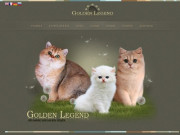 Golden Legend - питомник британских кошек