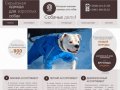 Одежда для собак | Интернет-магазин, Москва