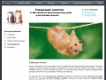 Интернет-магазин говорящих хомячков с доставкой по Краснодару и краю