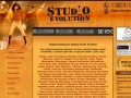 Studio Evolution - профессиональные караоке-системы (г. Москва, тел. +7 (495) 507-78-92)