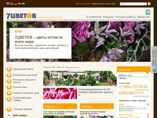 Купить цветы оптом в Москве, Санкт-Петербурге и Новосибирске | Оптовая продажа цветов