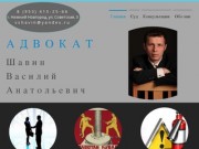 Шавин В.А. | Адвокат по трудовым спорам | Нижний Новгород