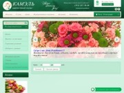 Купить комнатные и обычные цветы в интернет-магазине Камэль г. Челябинск