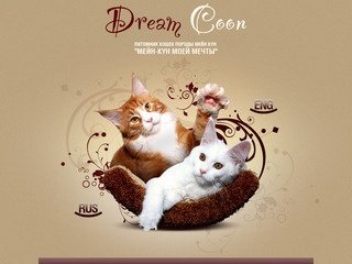 Dreamcoon: питомник мейн кун в Москве, где можно купить самых красивых котят этой элитной породы