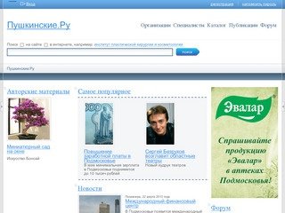 Пушкино и Пушкинский район в Интернете