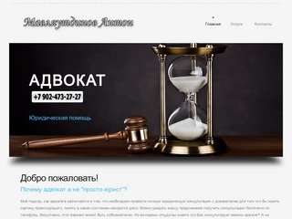 Адвокат Антон Мавляутдинов Пермь +7 902-47-327-27 Уголовные дела