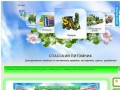 Спасский питомник  Интернет магазин декоративные растения Днепропетровск озеленение лиственные