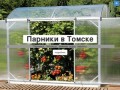 Парники в Томске