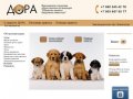 Общество защиты бездомных животных - Дора