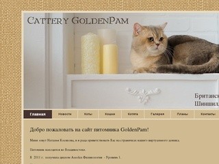 Британские шиншиллы и шиншиллы пойнт во Владивостоке - Добро пожаловать на сайт питомника GoldenPam!