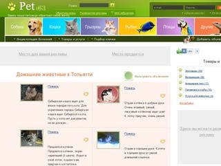 Домашние животные в Тольятти: продажа животных, дарение, вязка