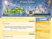 Prima Felina Самарский Клуб Любителей Кошек. Питомники кошек.Котята.