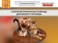 Круглосуточная ветеринарная помощь в Нижнем Новгороде
