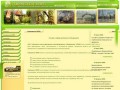Смоленский лес: сайт компании занимающейся поставками древесины