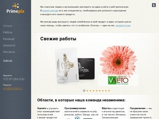Праймпикс — cоздание сайтов, веб-сервисов, интернет-магазинов в Архангельске