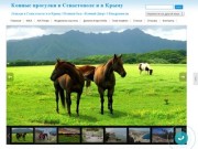 Конные прогулки в Севастополе и в Крыму